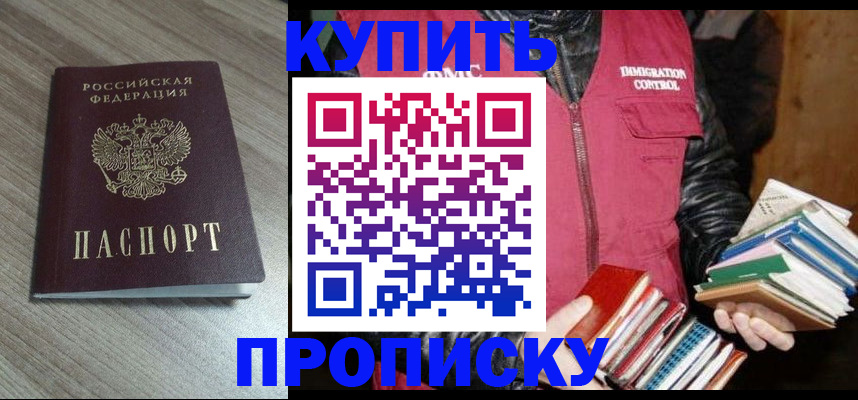 прописка 2025 в Могочи